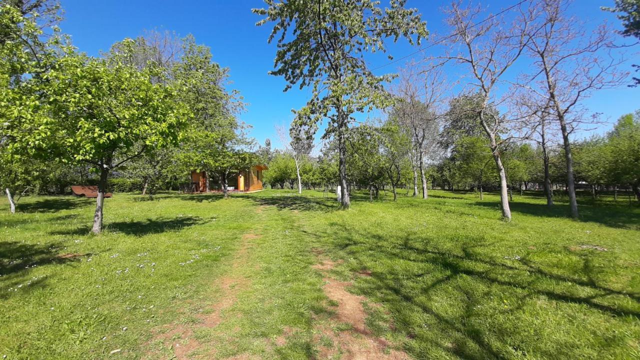 Tiny House Grabovac Villa Rakovica Exterior photo