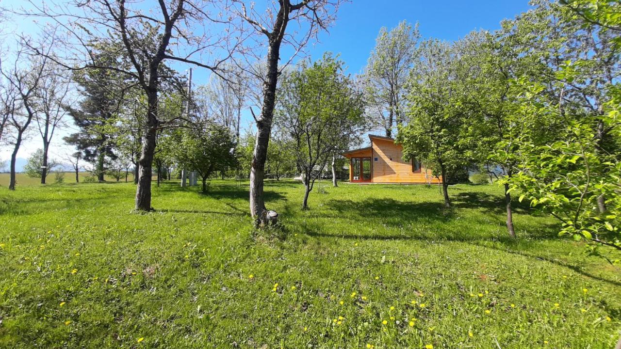 Tiny House Grabovac Villa Rakovica Exterior photo